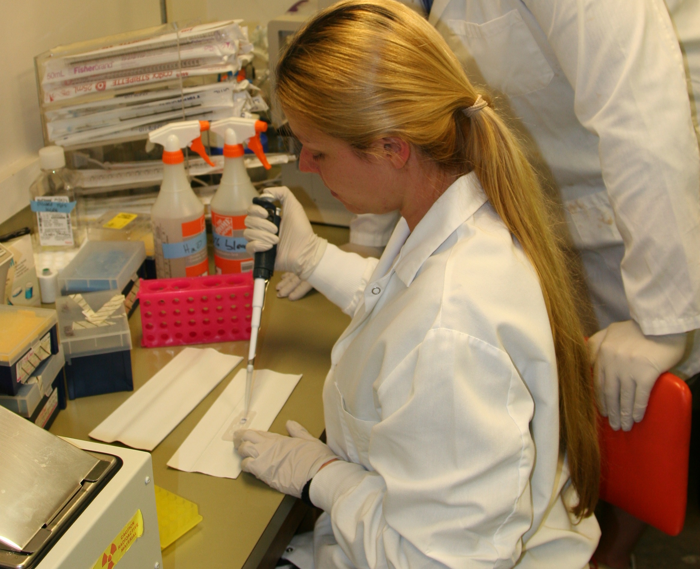 Carolina Da Silva Parada at work in the Ferreira Lab