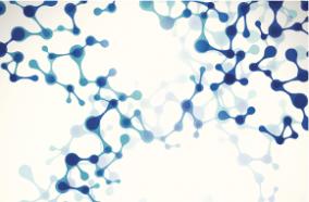 affiliated companies