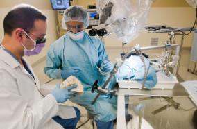 Neurosurgery Faculty and Fellow in training