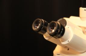 photo of microscope