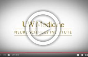 a video from our YouTube channel