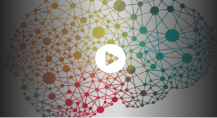 Graphic of a brain as nodes and edges